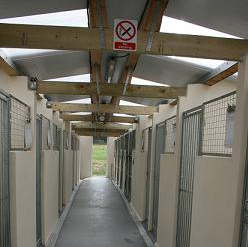 kennels