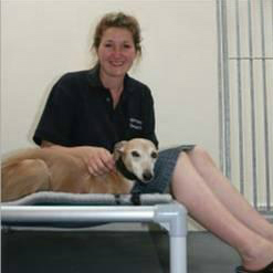 Albert having a stroke in a day kennel