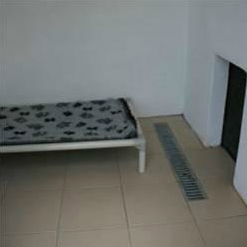 Inside isolation kennel for poorly guests